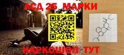 спиды Коммунар